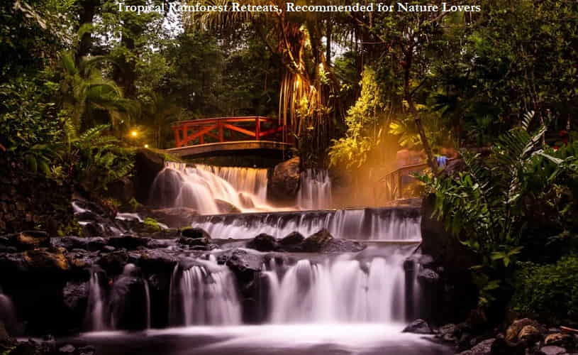 Tropical Rainforest Retreats, Recommended for Nature Lovers