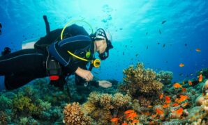 Top-rated island resorts with exceptional scuba diving and snorkeling opportunities