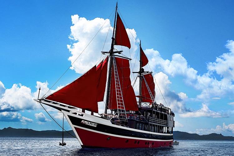 What to expect on a liveaboard diving trip in Indonesia