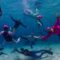 Best snorkeling spots for beginners with calm waters and clear visibility